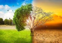 COP26: »La RDC est résolument engagée à se présenter comme un pays-solution »