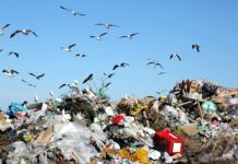 L’OMS s’alarme de la quantité de déchets médicaux liés au Covid
