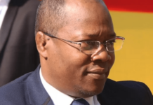 Guinée/UFDG