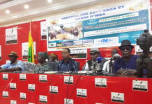 Festival D’mba: les précisions des organisateurs