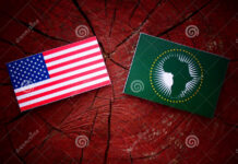 Afrique – États-Unis : un sommet et dix dossiers chauds