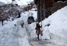 Afghanistan : une vague de froid fait 104 victimes en deux semaines