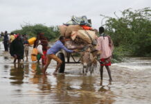 (Multimédia) l’ONU et ses partenaires lancent un programme de réponse aux inondations en Somalie