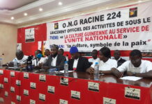 Guinée: Racine 224 pour la promotion de la culture et la paix