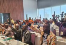 Guinée: les 65 membres adoptent le statut de la feguifoot