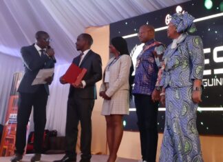 Distinctions honorifiques : Mines Awards Guinée récompense 17 entreprises minières