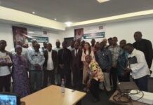 MEPU-A : l’atelier de planification et de déploiement de l’IFADEM en Guinée officiellement lancé