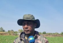 Agriculture : « En l’espace de deux ans j’ai quitté de 20 à 80 hectares à travers des accompagnements…. » déclare Elhadj Amadou Barry gérant de la socitété Gobel Sarl.