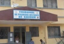 Affaire sextape en Guinée : le parquet de Kaloum ordonne la comparution forcée de Aminata…