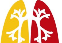 Journée mondiale sans Tabac: la protection des enfants contre l’industrie du tabac au coeur de l’édition de 2024
