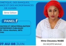 Digitalisation des entreprises publiques guinéennes: la société navale guinéenne entre performance et vision