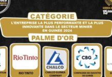 15ème édition du Gala des 50 entreprises les plus performantes de la Guinée : Le voting grand public lancé (COMMUNIQUÉ)