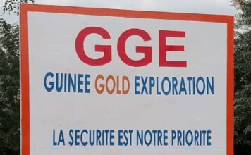 Opération surprise à Siguiri : plusieurs employés de la société GGE mis aux arrêts par des Bérets rouges