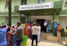 Agriculture : 5ème session du Comité de Pilotage du Projet de Développement de la Chaîne de Valeur du Riz (PDCVR) MAGEL