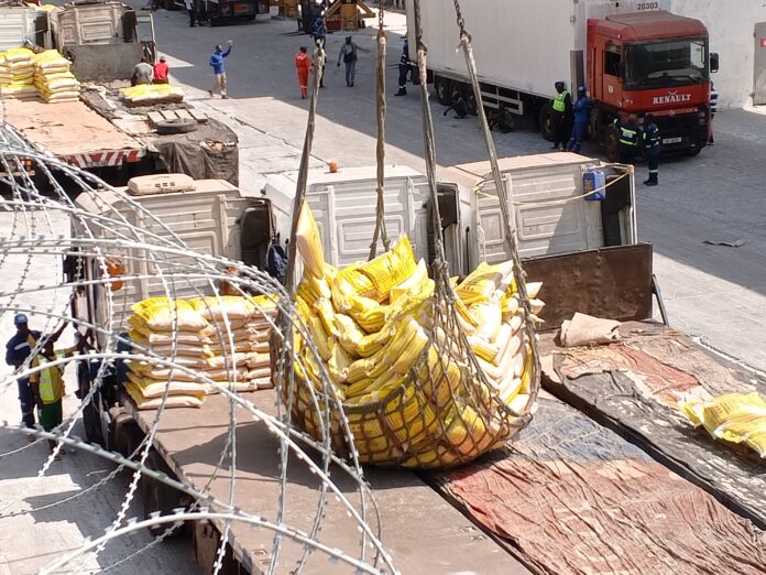 IMG_20250216_113425_730