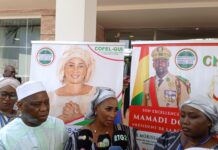 Guinée : Le COFEL-GUI lance ses activités