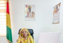 Marche de la paix et de l’unité : Télimélé se prépare pour accueillir la cérémonie