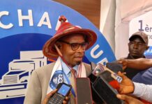 Actualités : » Partager les idées pour amorcer un veritable décollage de notre continent » affirme Elhadj Ibrahima Diallo