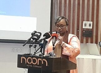 La Guinée dévoile son fichier électoral : 6,7 millions d’électeurs pour le référendum