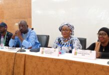 Référendum en Guinée : La Direction Générale des Élections consulte les parties prenantes