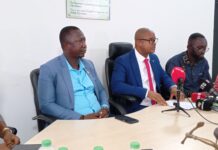 La pharmacie guinéenne se réinvente pour une meilleure santé publique