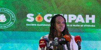 Soguipah : C’est parti pour un programme de relance et de modernisation