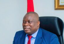 Le choix de la continuité : Fassou Théa, l’architecte d’une halieutique moderne