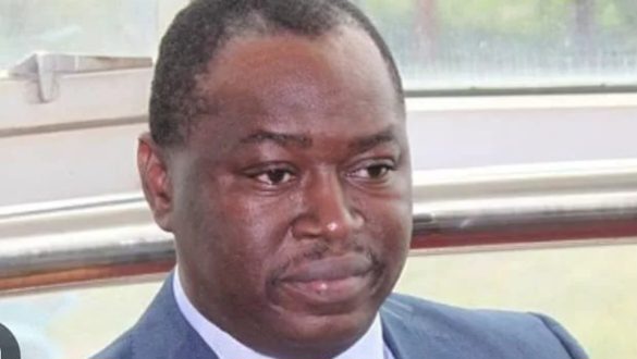 CREATOR: gd-jpeg v1.0 (using IJG JPEG v62), quality = 82?