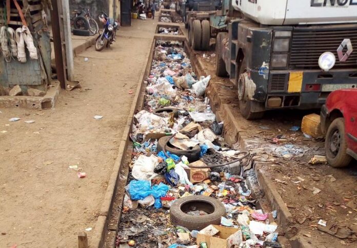 ordures-conakry-boirolepatriot_5b095a8a51480