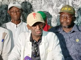 Élections Communales et Législatives : Badra Koné candidat…