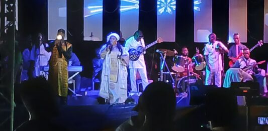 Musique : l’artiste Sona Tata livre un concert de qualité