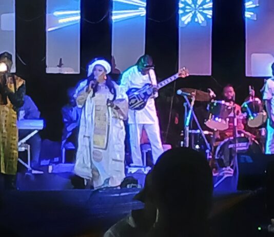 Musique : l’artiste Sona Tata livre un concert de qualité
