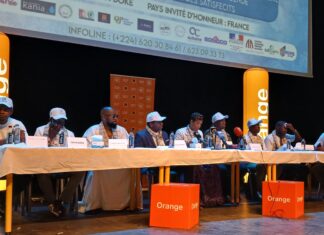 Kindia: 7ème édition de Kania Soly, les organisateurs promettent…