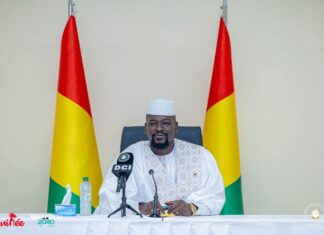 Élections en Guinée : Vers un double scrutin décisif, les dates clés de la campagne connues