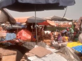 Marché de Fassia : Un nouveau souffle pour les déguerpis face au défi de l’espace