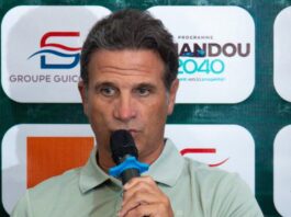 Syli National : Paulo Duarte dévoile sa liste face à l’Irlande du Nord, avec les retours d’Amadou Diawara et Sory Kaba