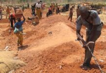 Mandiana : Un éboulement dans une mine d’or de Balandougouba fait des victimes