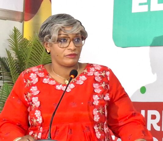 Élections locales en Guinée : « Plus de la moitié des CACV ont entamé la centralisation des résultats », selon la DGE