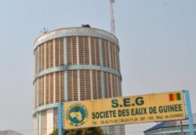 Société des Eaux de Guinée (SEG) : Algassimou Dioubaté nommé DG, Thierno Mamadou Nassirou Diallo devient DGA