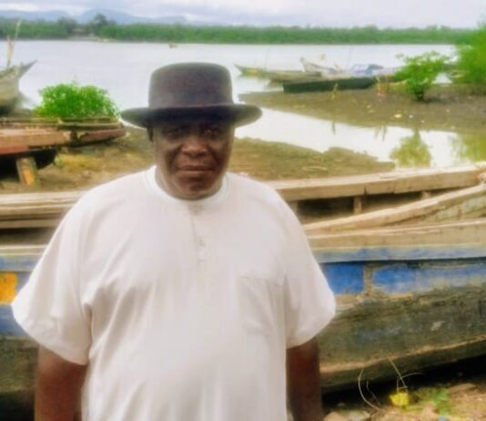 Mangrove de Dubréka : Le cri d’alarme de M. Alsény Bangoura face aux menaces écologiques