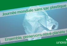 3 juillet : la Journée internationale sans plastique appelle à une mobilisation mondiale