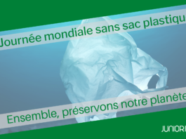 3 juillet : la Journée internationale sans plastique appelle à une mobilisation mondiale
